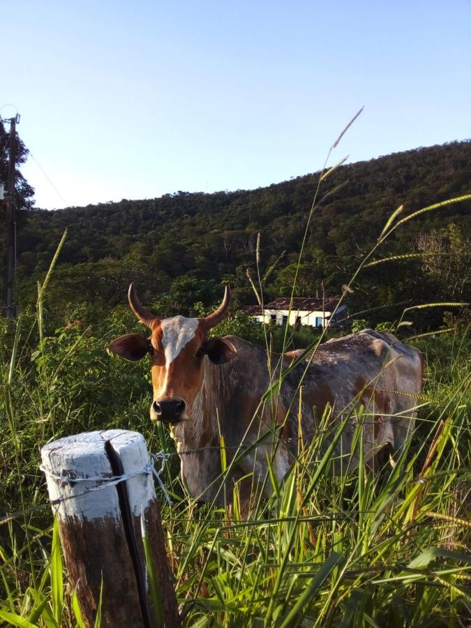 Recanto São Francisco De Assis Pirenópolis