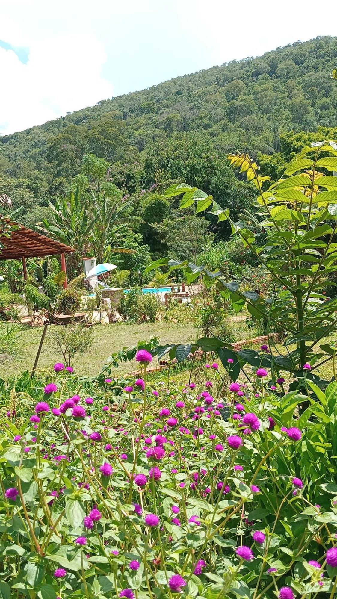 Farm stay Recanto Sao Francisco De Assis Pirenopolis